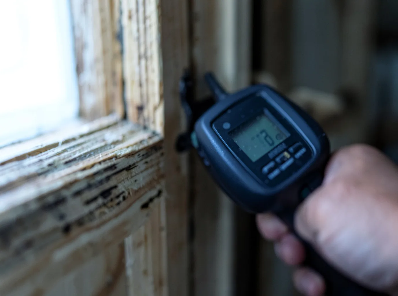 Moisture Inspection And Documentation in Purling, NY